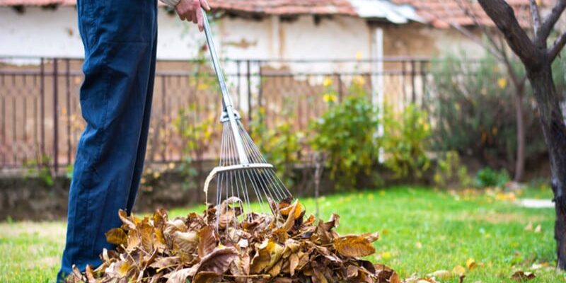 Ефективні способи використання опалого листя на вашій ділянці