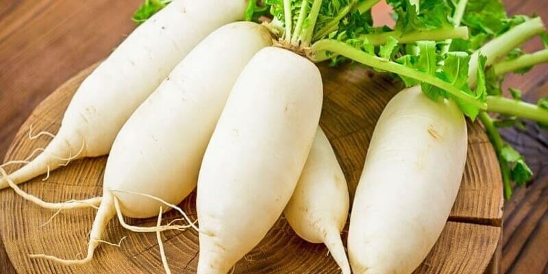 Що робити, якщо дайкон зацвів: ефективні рішення для городників