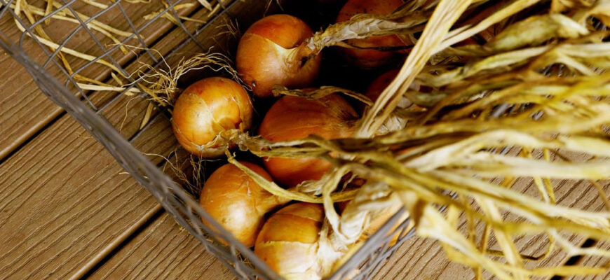 Як врятувати ріпчасту цибулю, якщо вона почала псуватися: поради