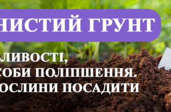 Рослини для глинистого ґрунту: обираємо найкращі варіанти для саду