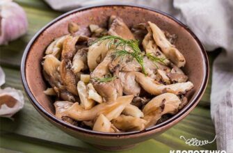 Гриби гливи: Як готувати смачно та швидко – рецепти і поради