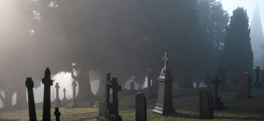 Гранітні лавки з вазонами: практичні рішення для шанобливого вшанування пам’яті