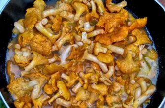 Як варити гриби: детальний посібник для ідеального результату