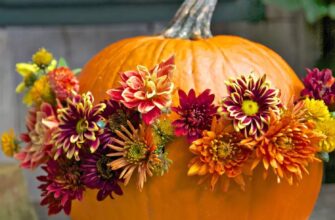 Ефективні способи використання квітів гарбуза: рецепти та поради