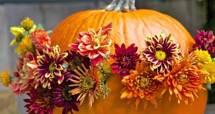 Ефективні способи використання квітів гарбуза: рецепти та поради