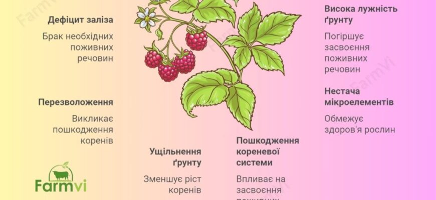 Ефективний рецепт розчину для лікування хлорозу рослин у домашніх умовах