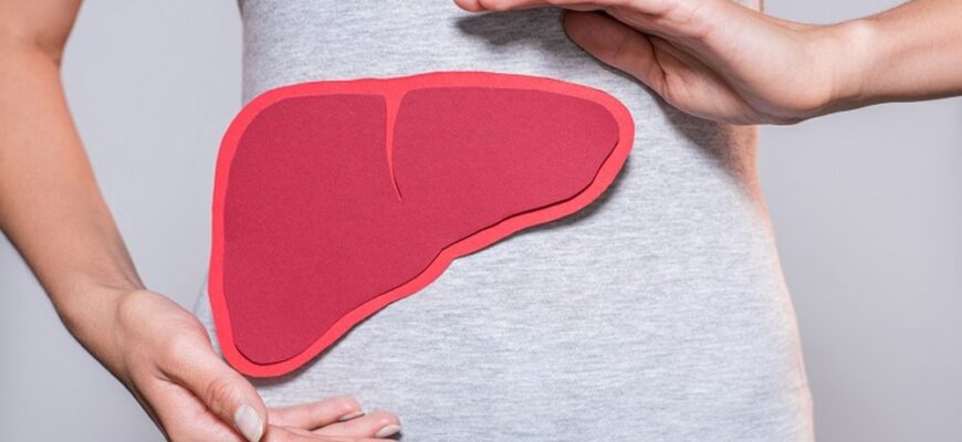 Хофітол: повний гід по застосуванню та показанням до прийому препарату Хофітол: повний гід по застосуванню та показанням до прийому препарату