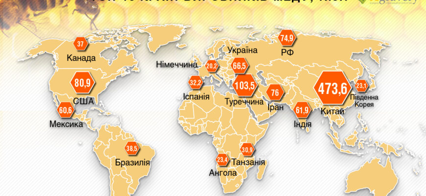 Де у світі виробляють найякісніший мед: найкращі місця виробництва