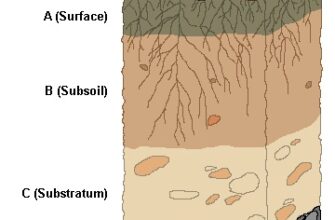 “Фактори, що спричиняють утворення гумусу в ґрунтах України”