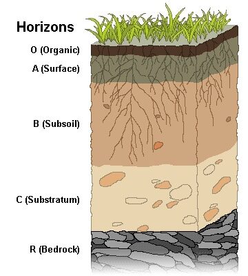 “Фактори, що спричиняють утворення гумусу в ґрунтах України”