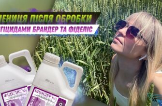 Обираємо найкращий фунгіцид: порівняння та рекомендації для садівників