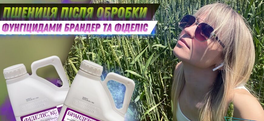 Обираємо найкращий фунгіцид: порівняння та рекомендації для садівників