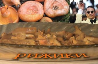 Рецепти приготування рижиків: як готувати смачно та швидко