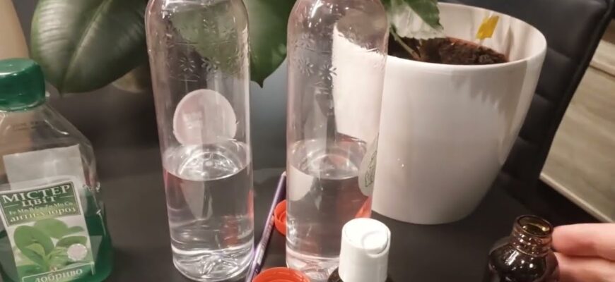 Гумат натрію чи гумат калію: що обрати для покращення врожайності?