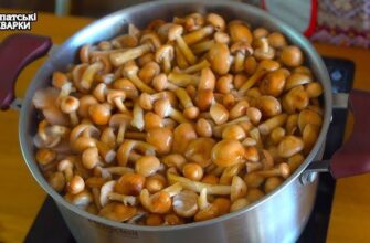 Опеньки: як готувати смачно та безпечно – покроковий гід