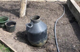 Як правильно розвести трав’яне добриво: покрокова інструкція для саду