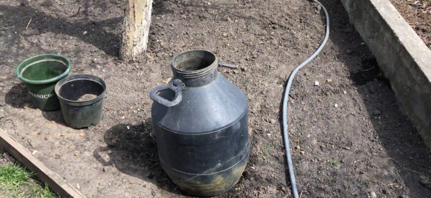 Як правильно розвести трав’яне добриво: покрокова інструкція для саду