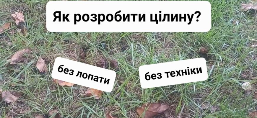 Ефективні інструменти та техніки для оранки цілини: що обрати?