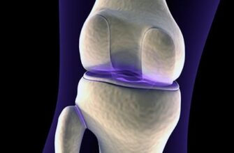 Можливість та методи відновлення хрящової тканини: сучасні підходи