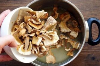 Скільки варити сушені білі гриби: поради для ідеального смаку
