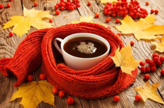 50 найкращих цитат про осінь для вашого Instagram: надихайтесь сезонно