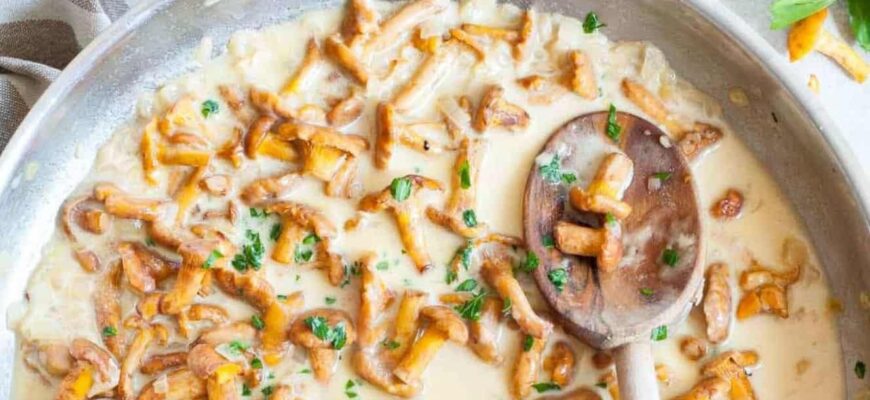 Як готувати лисички в сметані: покроковий рецепт з порадами