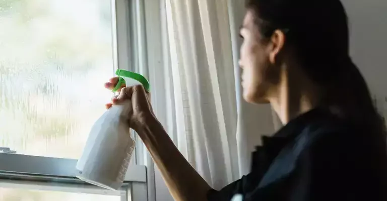 Топ способи для миття вікон із зовнішньої сторони: Поради та засоби