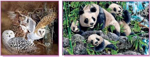 Зуби мають, а їсти не просять: загадковий феномен природи