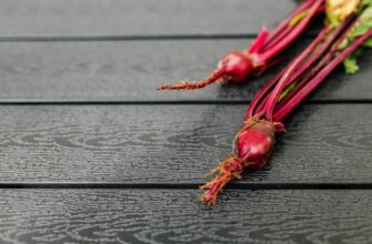 Легкі та корисні салати з буряка і фети: відкрийте 7 простих рецептів