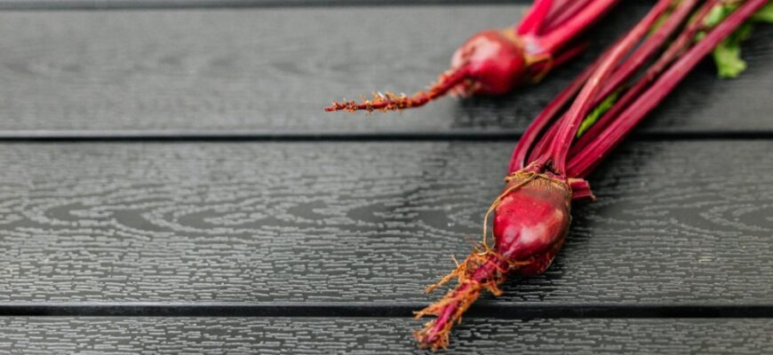 Легкі та корисні салати з буряка і фети: відкрийте 7 простих рецептів