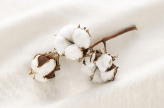 Pamuk: що це за тканина, її ключові особливості та секрети догляду