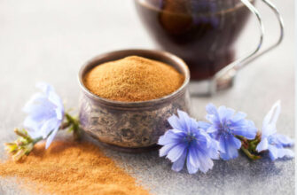 Чим корисний цикорій: лікувальні властивості та користь для здоров’я