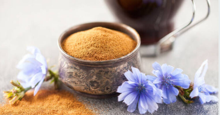Чим корисний цикорій: лікувальні властивості та користь для здоров’я