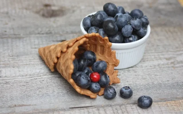 Кому не можна їсти лохину: важливі протипоказання та поради