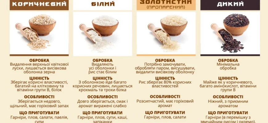 Як варити рис: пропорції води для ідеального приготування
