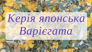 Що таке Кирея: все, що потрібно знати про древнє корейське мистецтво Що таке Кирея: все, що потрібно знати про древнє корейське мистецтво