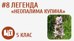 Що таке Зоряний віз: детальний огляд сузір’я та його значення