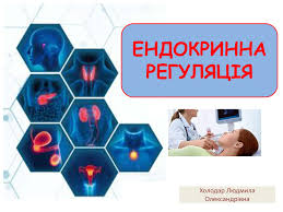 Що таке ендокринна система: функції, органи та гормони людини