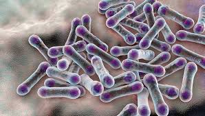 Що таке дифтерія: Причини, симптоми і методи лікування хвороби