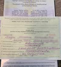 Що таке довідка МСЕК: важливість та процес отримання документа