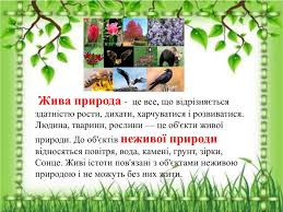 Що таке Жива природа: визначення, складові та значення для Землі