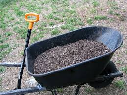 Що таке компост: як створити, використовувати та покращити ґрунт