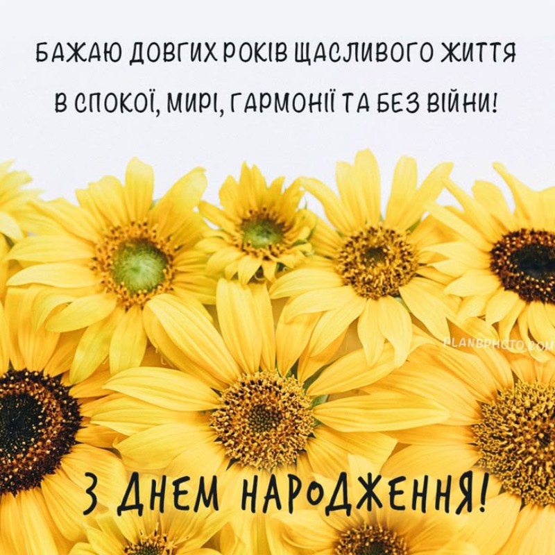 Привітання на листівці