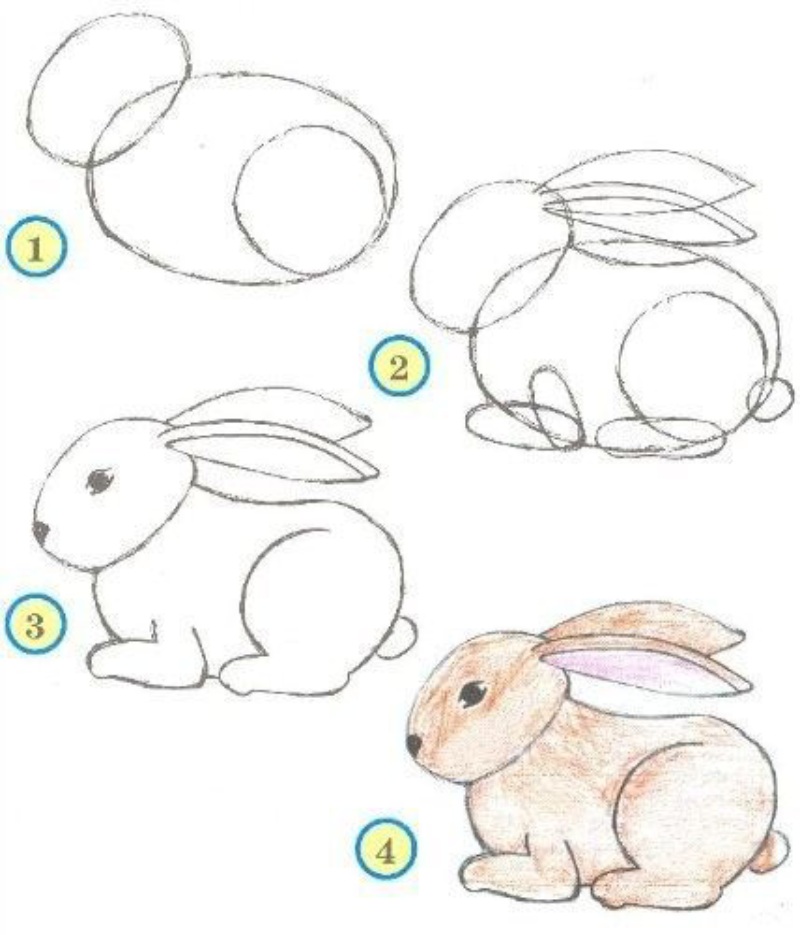 Кролик з деталями