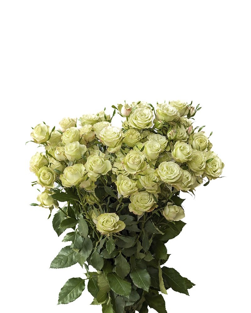 Букет квітів