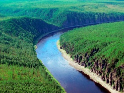 Чорний Водяний Кінь