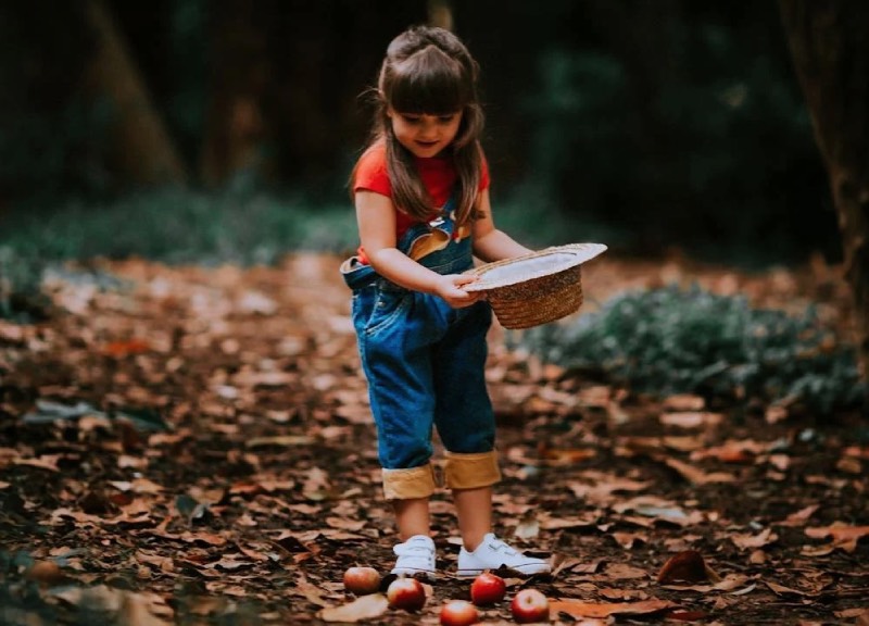 Яблука в саду