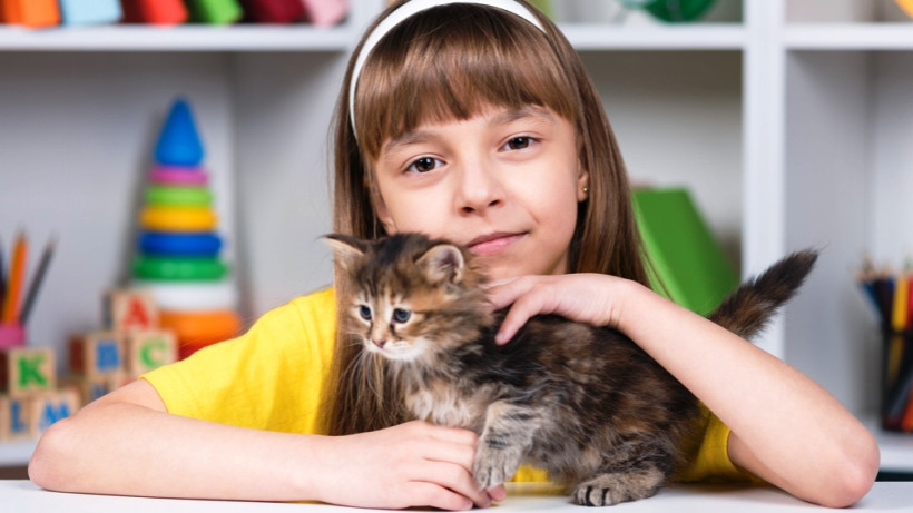 Смішний котик