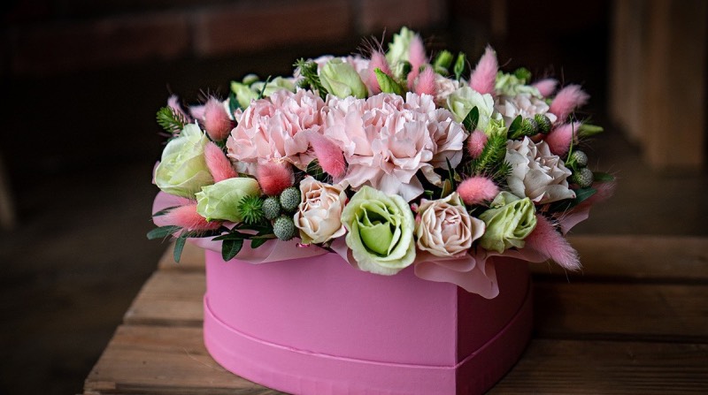 Горшкові квіти