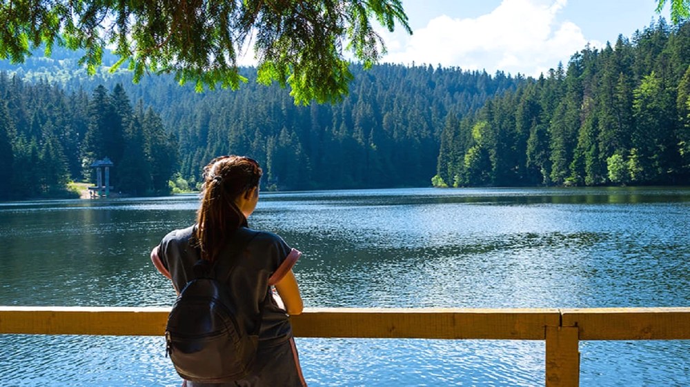 Закарпатські замки